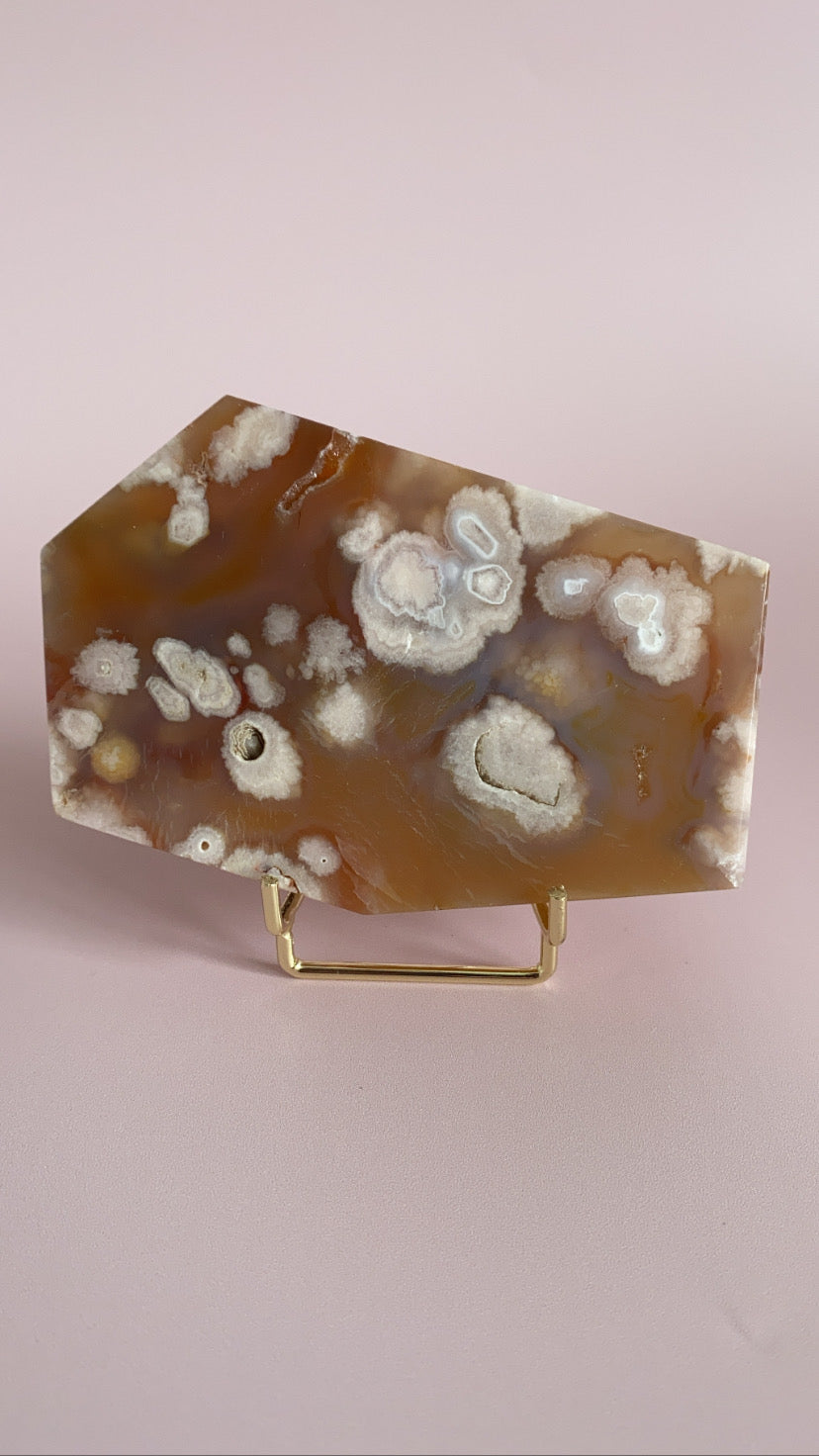 Flower Agate Slab #5